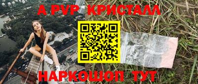 СК Будённовск