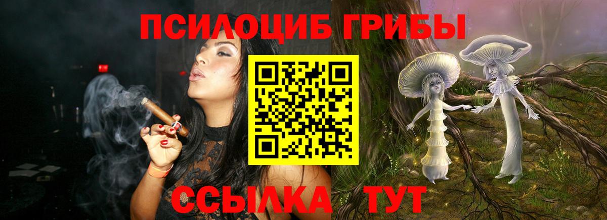 купить закладку  Вход с VPN  Старая Купавна  Галлюциногенные грибы Magic Shrooms 